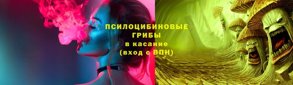 mix Сосновый Бор