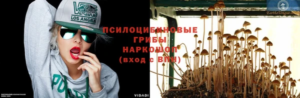 ALPHA PVP Белокуриха