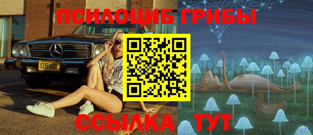 Галлюциногенные грибы Cubensis Кушва