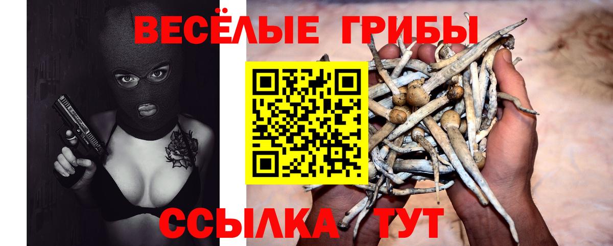 Галлюциногенные грибы мухоморы  Вход с VPN  Кушва 